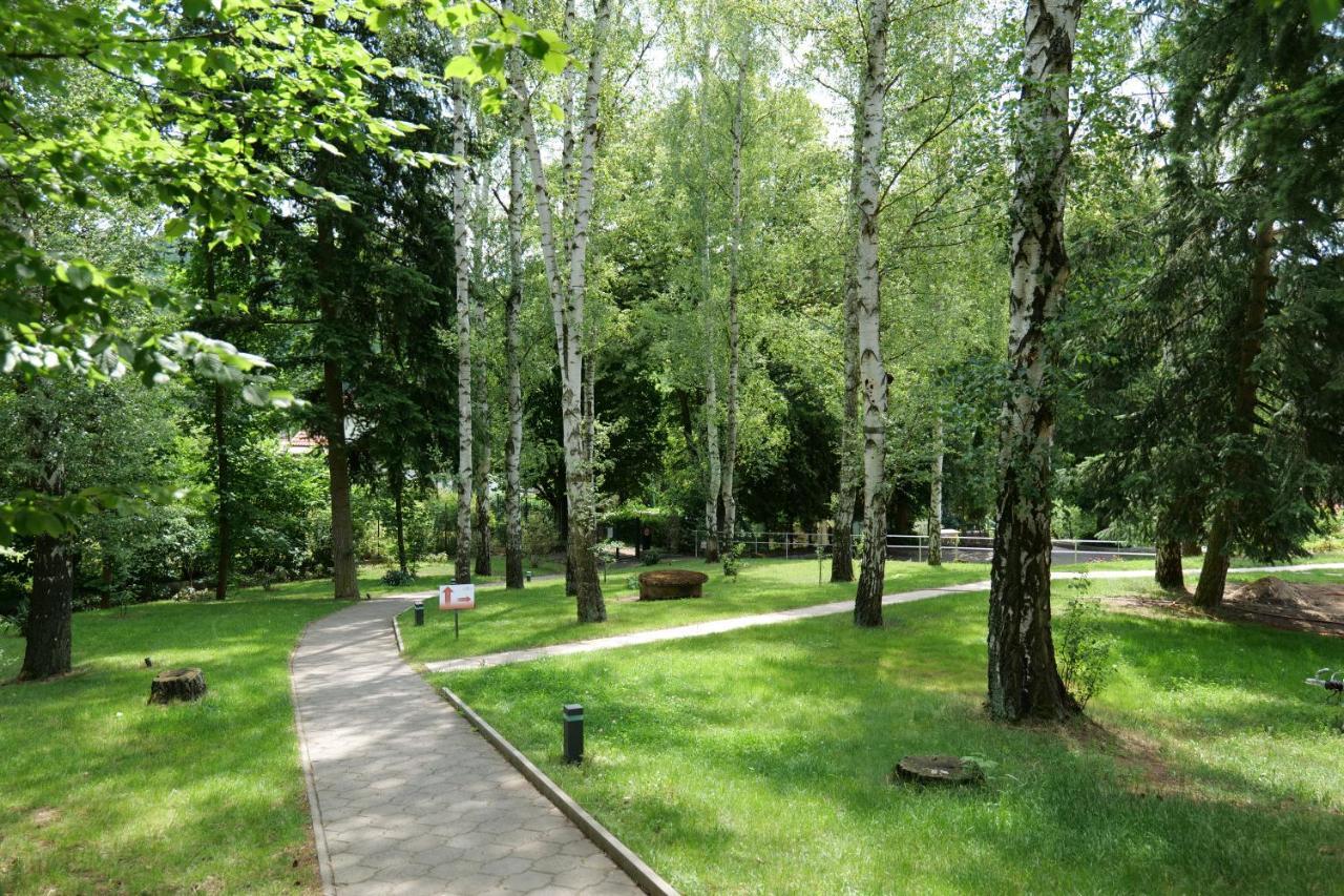 Penzion Harmony Javornik Ctyrkoly Esterno foto