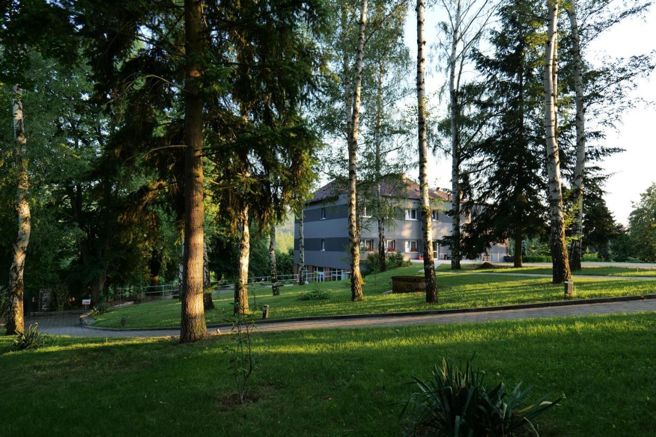 Penzion Harmony Javornik Ctyrkoly Esterno foto
